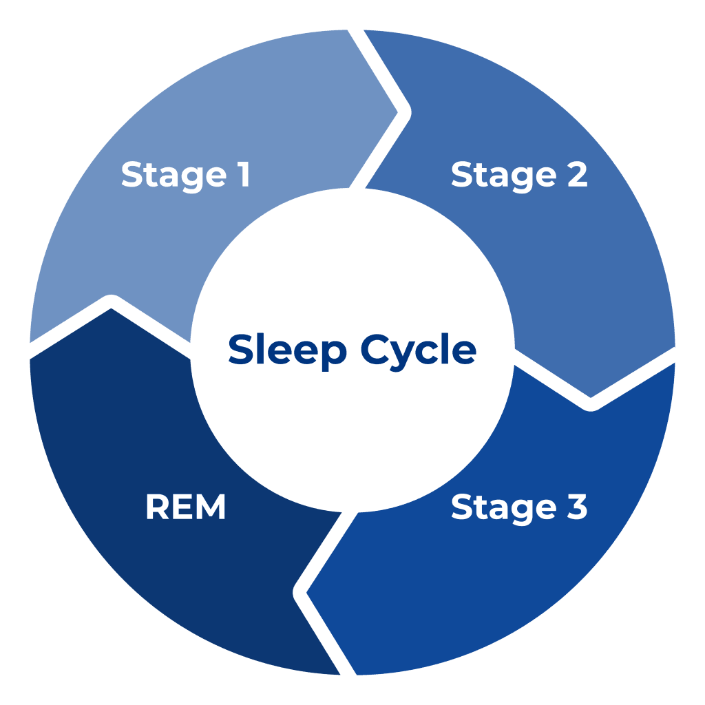 Sleep Cycle. Sleep phases. 5 Stages of Sleep. Sleep period.