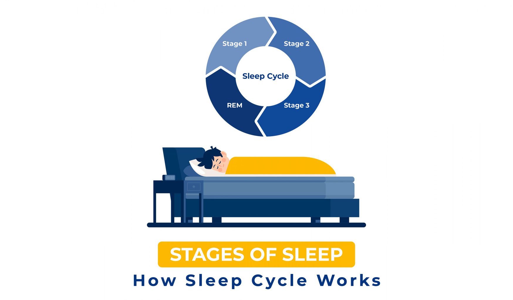 Five Stages Of Sleep Cycle