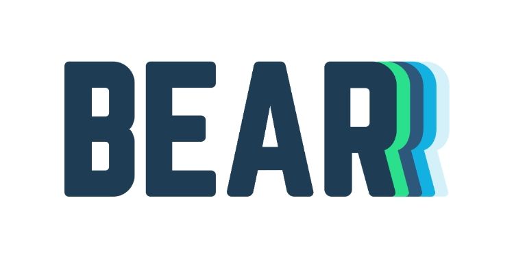 Bear Mattress Reviews