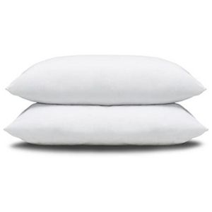 Pacific Coast Double DownAround Pillow