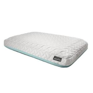 Tempur-Pedic TEMPUR-Cloud: Best Memory Foam Pillow