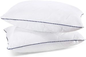 Sable 2 Pack Adjustable Down Pillow
